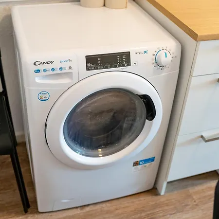 Monteurwohnungen Direkt An Der Basf Tor 5 Apartment